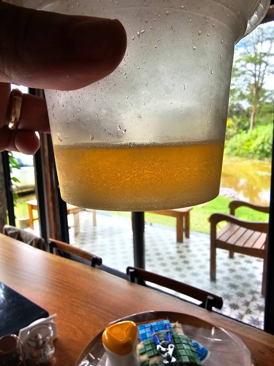 Copo plástico com mel de abelha nativa, dourado e bem líquido, segurado contra a luz de uma janela com vista para um jardim verde