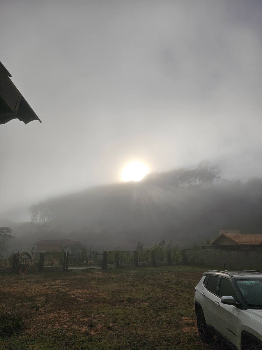 Sol nascendo por trás da serra com neblina densa cobrindo o vale e um parreiral em primeiro plano